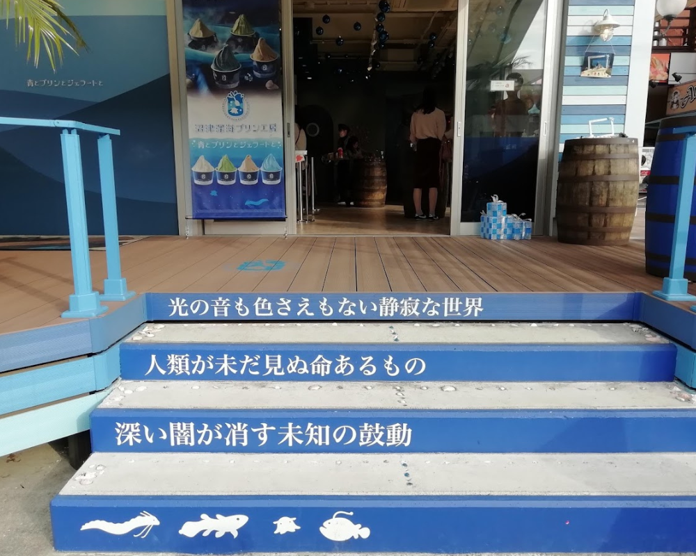 沼津深海プリン工房 青とプリンとジェラートと
